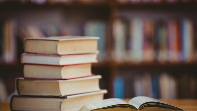 Wypożycz swojego misia i weź udział w niezwykłej wystawie w bibliotece!