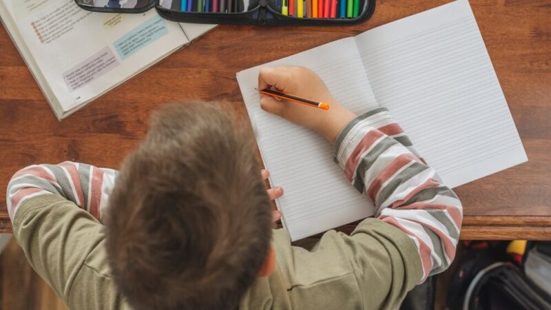 Zawodowe ferie – odkryj swoją przyszłość!