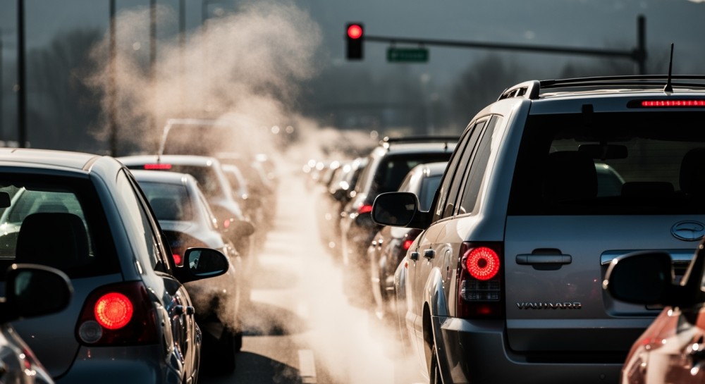 Drzewo spadło na przejazd kolejowy podczas wycinki w Siedliskach