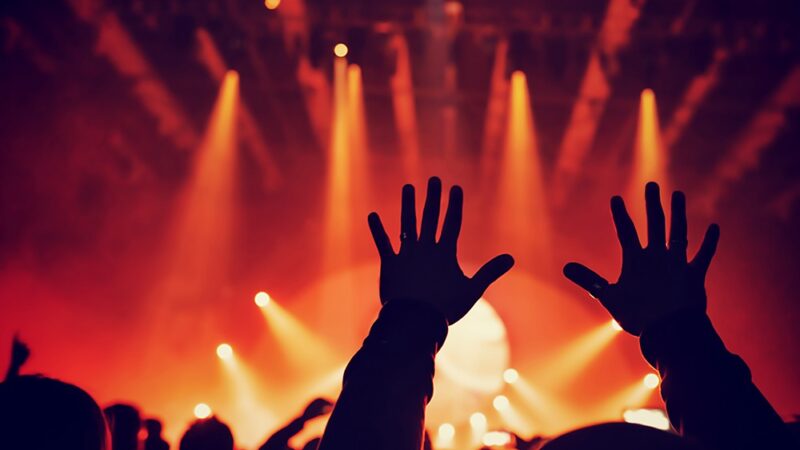 Festiwal Roślin w Ełku: Nowe gatunki i unikalne okazy czekają na Ciebie!