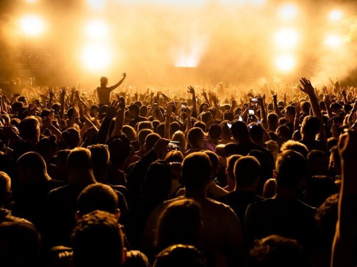 Emocjonalny koncert „W dzikie wino zaplątani” w bibliotece oczarowuje publiczność!