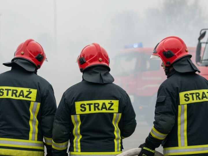 Pożary traw: niebezpieczeństwo dla ludzi, zwierząt i środowiska!