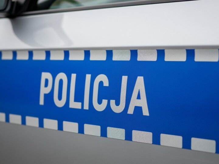 Zatrzymanie 41-latka poszukiwanego za znęcanie się dzięki współpracy Policji i Straży Granicznej