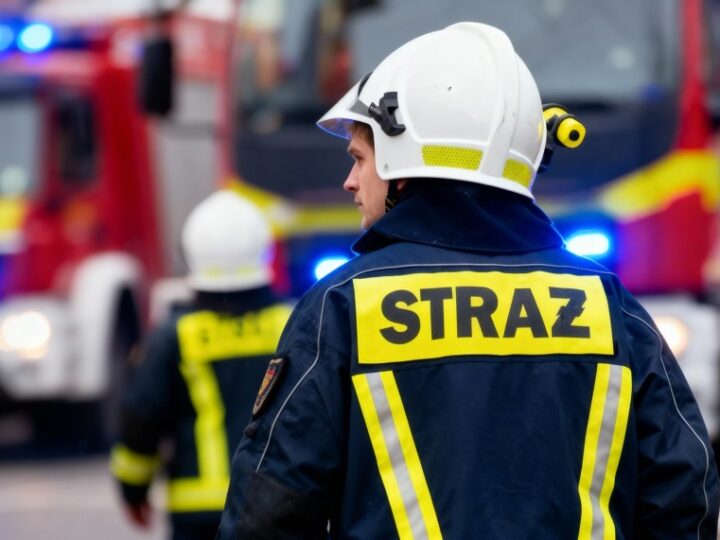 Ełcka straż pożarna wprowadza innowacyjną sekcję z kotami ratownikami