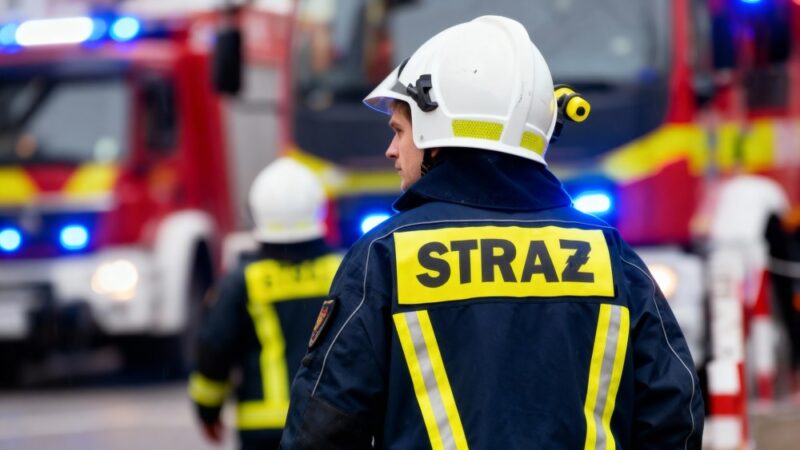 Ełcka straż pożarna wprowadza innowacyjną sekcję z kotami ratownikami