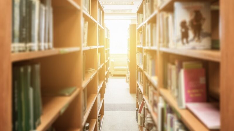 Wakacyjne godziny otwarcia biblioteki – sprawdź, kiedy możesz nas odwiedzić!