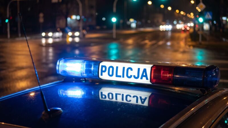 Przemoc domowa: 46-latek aresztowany na trzy miesiące za znęcanie się nad matką i siostrą