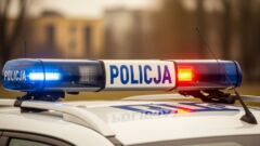 Fałszywe dokumenty jak w mObywatelu. Są areszty
