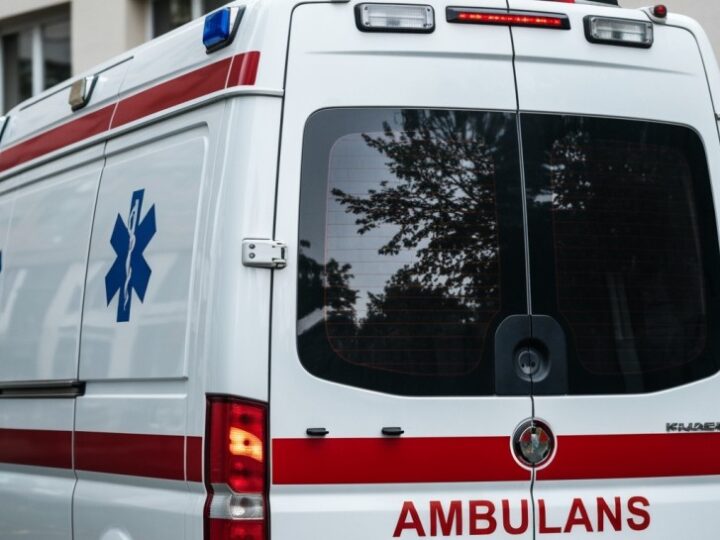 Nie zginij w lesie – grzybobranie z głową!