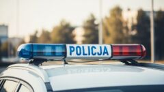 Płośnica i Iława: sprawcy przemocy poza domem