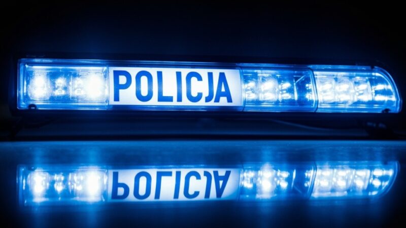 Poszukiwany mężczyzna sam zgłasza się na policję i trafia do aresztu na rok